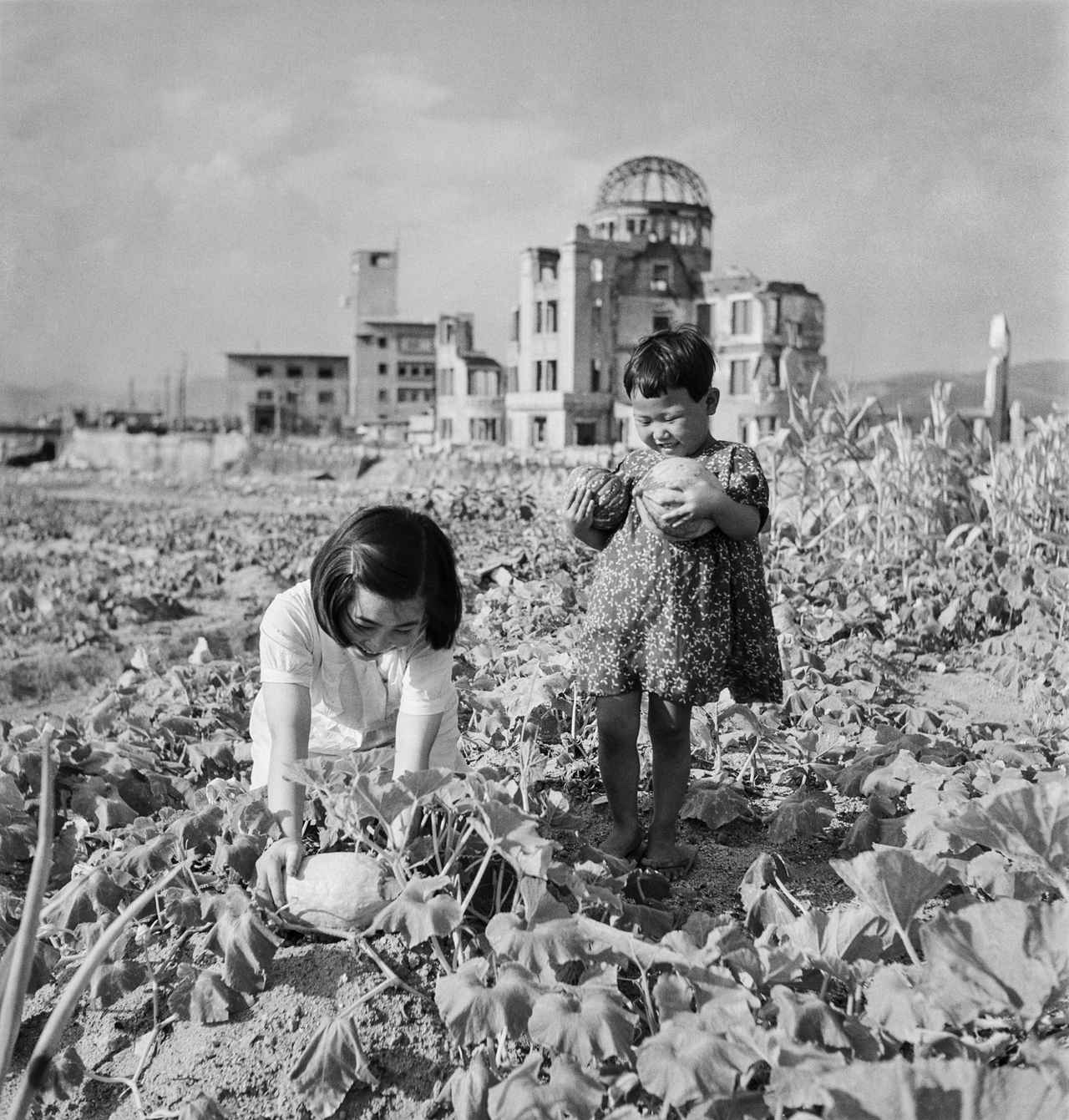 画像: 撮影者：吉田潤 撮影年：1947年 撮影地：広島県 タイトル：二年後、爆心地中島にも野菜の収穫がもたらされる 所蔵：日本写真保存センター