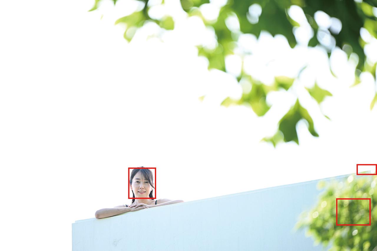 画像3: ■共通撮影データ:ニコンZ8 絞り開放 ISO100 WB:5200K