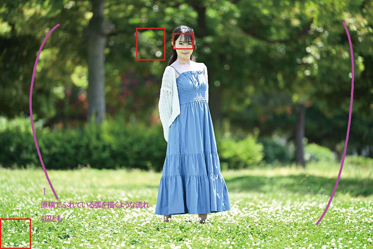 画像2: ■共通撮影データ:ニコンZ8 絞り開放 ISO100 WB:5200K