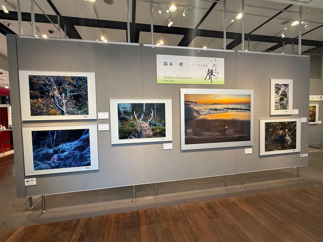 画像: 鈴木一雄写真展「-にっぽん列島- いのちの聲」の開催概要