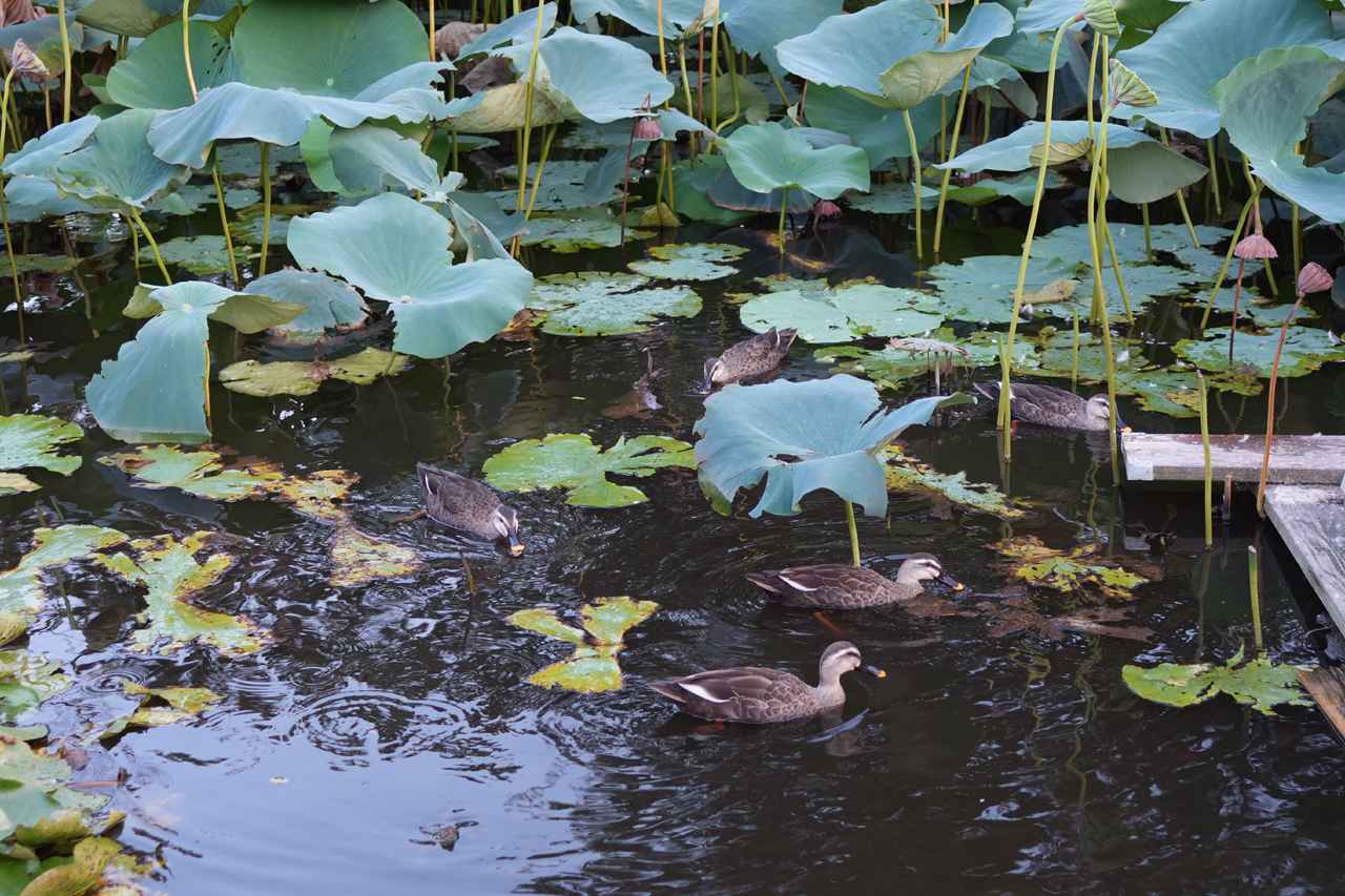 画像: ■絞り優先AE（F2.8　1/160秒） マイナス0.3露出補正　ISO400　WB:オート
