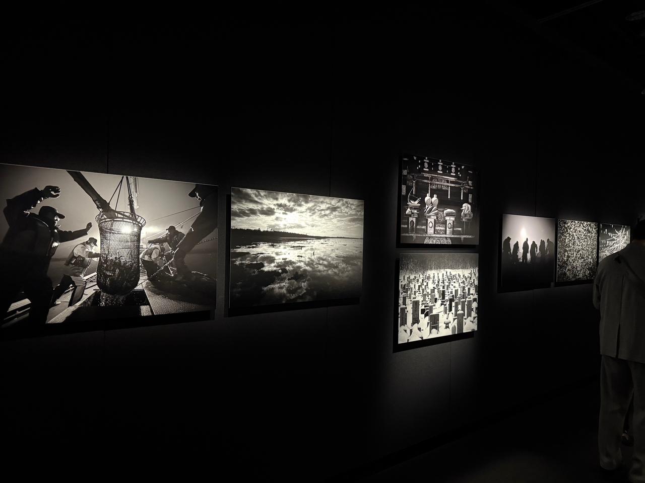 画像: 展示会場の様子と作品を一部紹介