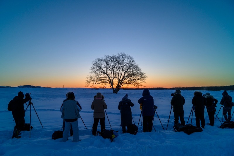 画像: 今回予定はありませんが、過去には「ハルニㇾの木」も撮影しました。