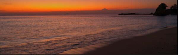 画像2: ⓒ山田久美夫