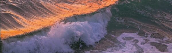 画像3: ⓒ山田久美夫