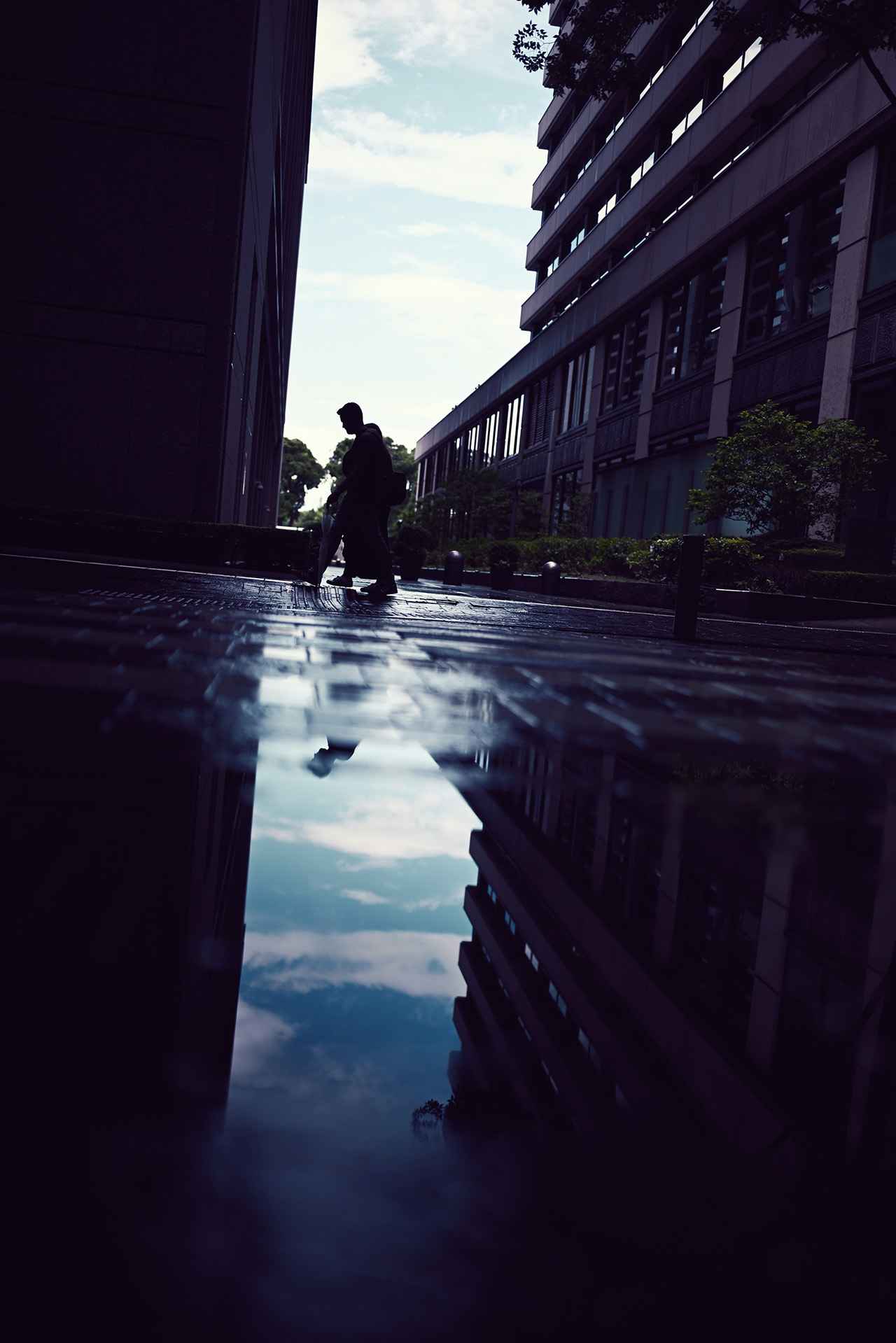 画像: 「イメージングレシピ」で写真家の個性的な表現を体験するのも楽しい。加えて31種類のピクチャーコントロールは、カメラ独自の表現として楽しむことが出来る。本作は「デニム」からアレンジを加えてみたものだ。 ■NIKKOR Z 35mm f/1.2 S 絞り優先AE(F1.2 1/8000秒) マイナス1.3露出補正 ISO200 WB:オート