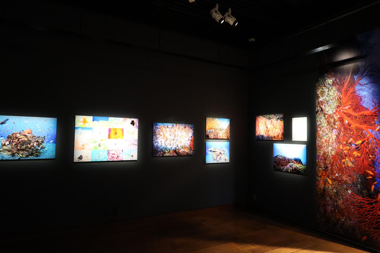 画像3: ⓒ藤川智之