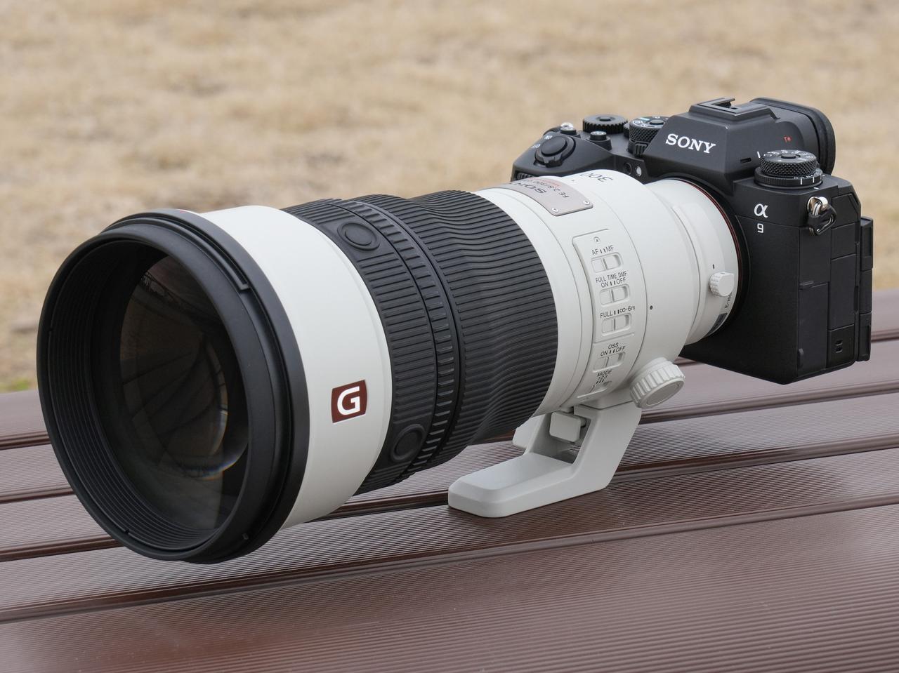 画像: Lens Impression! 世界最軽量のサンニッパ、ソニーFE 300mm F2.8 GM OSS ●Photo&Text：宇佐見健 - Webカメラマン