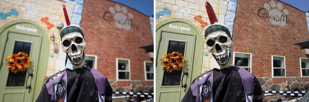 画像: 人間とほぼ等身大のガイコツギタリストのバスとショットは絞り開放F1,4(左）とF11（右）の撮り比べ。絞り開放で寄ると背景情報を適度に残した柔らかいボケ味となりました。望遠系ポートレートレンズのような被写体の引き立て方を画角100度の超広角レンズでも得られるのは面白い。