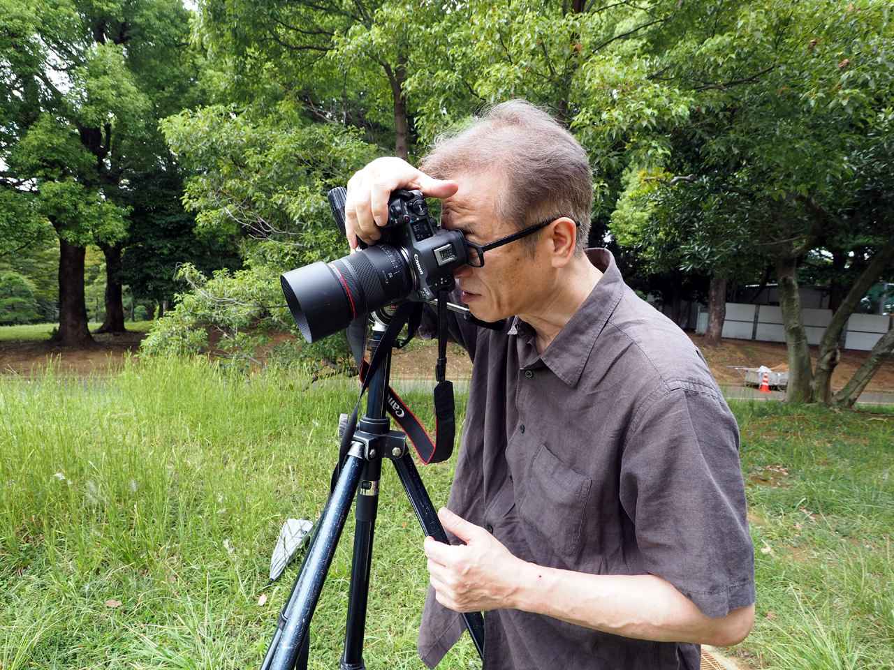 画像: 後編用に他のRF85mm達との比較作例で、同じフレーミングで撮影するために三脚を使用してもいるが、コンパクトなレンズなので、手持ち撮影も全く苦にならない。やはりフレーミングを素早く変えられる手持ちで、フットワーク良く撮影が似合うレンズだ。後編も、ご期待ください!!