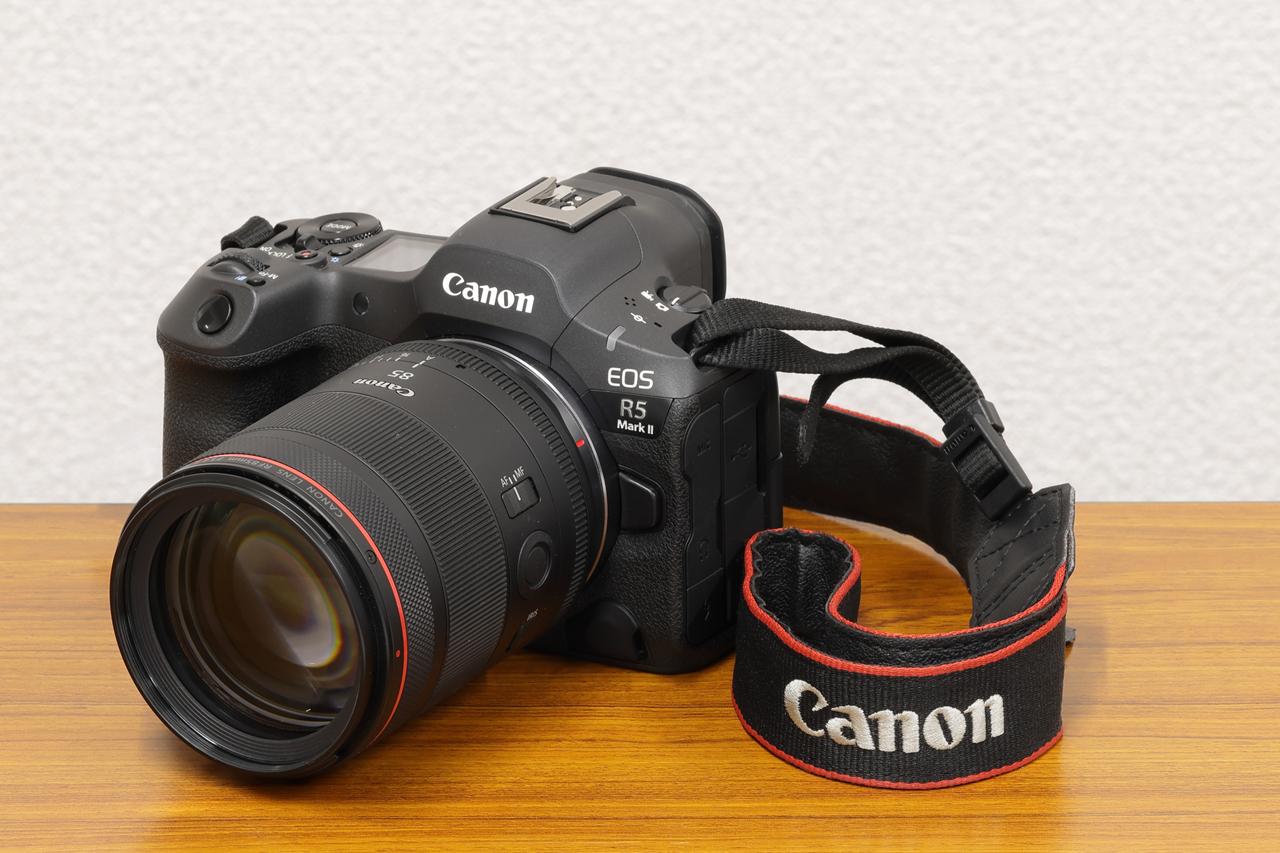 画像: 鏡筒が細いので、三脚の大型雲台でも、バッテリーグリップやスペーサーなしで取り付けられる。個人的には、バッテリーグリップなしの方がホールディングバランスは良いと感じた。