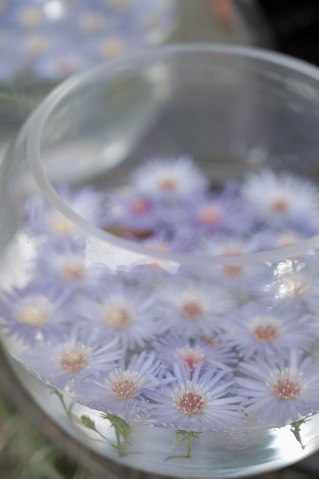 画像: ■ニコン　ZR　NIKKOR Z 24-70mm f/4 S　絞りF4　1/200秒　ISO400　WB:オート