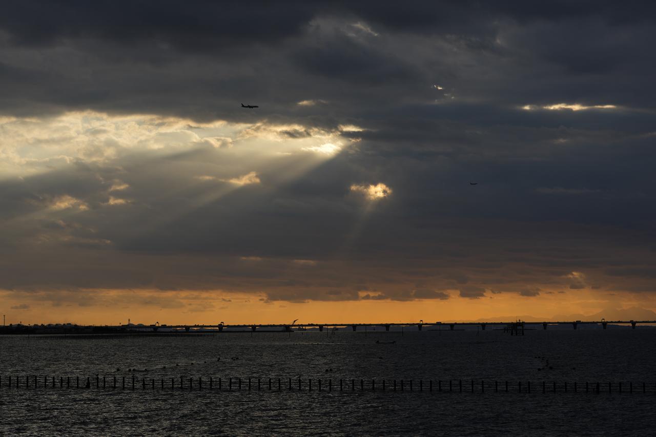 画像: マクロレンズといえども遠景撮影にも抜かりナシ。