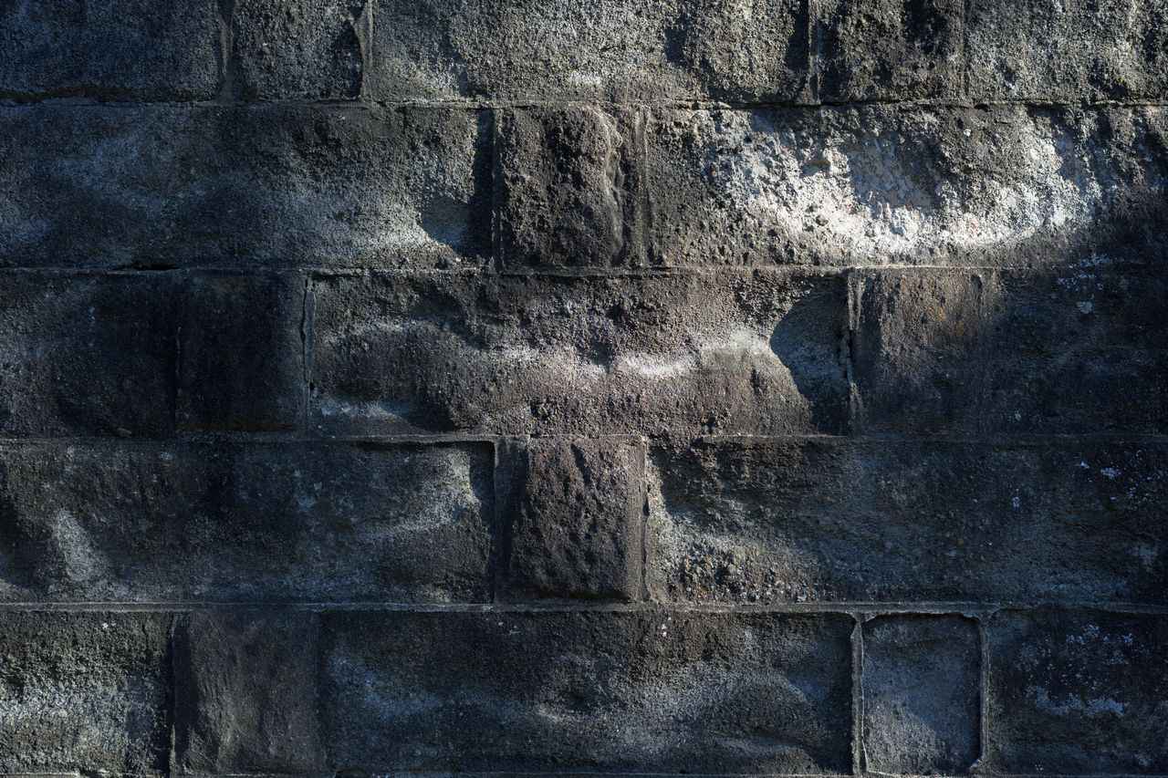 画像: 今回のファーストショット。もっとガリガリに写るかな?と思ってたけれど良い意味で裏切られて高揚感がありました。ピントも結構薄いし「これは性能出してきてる系だな」って感じだけど、アポランター教官みたいな緊張感はナシ。高性能だけど、肩肘張らない使用感って本当に爽やかな気持ちにさせてくれますね。 ■シャッター速度優先AE(F3.2 1/500秒) マイナス0.3露出補正 ISO100