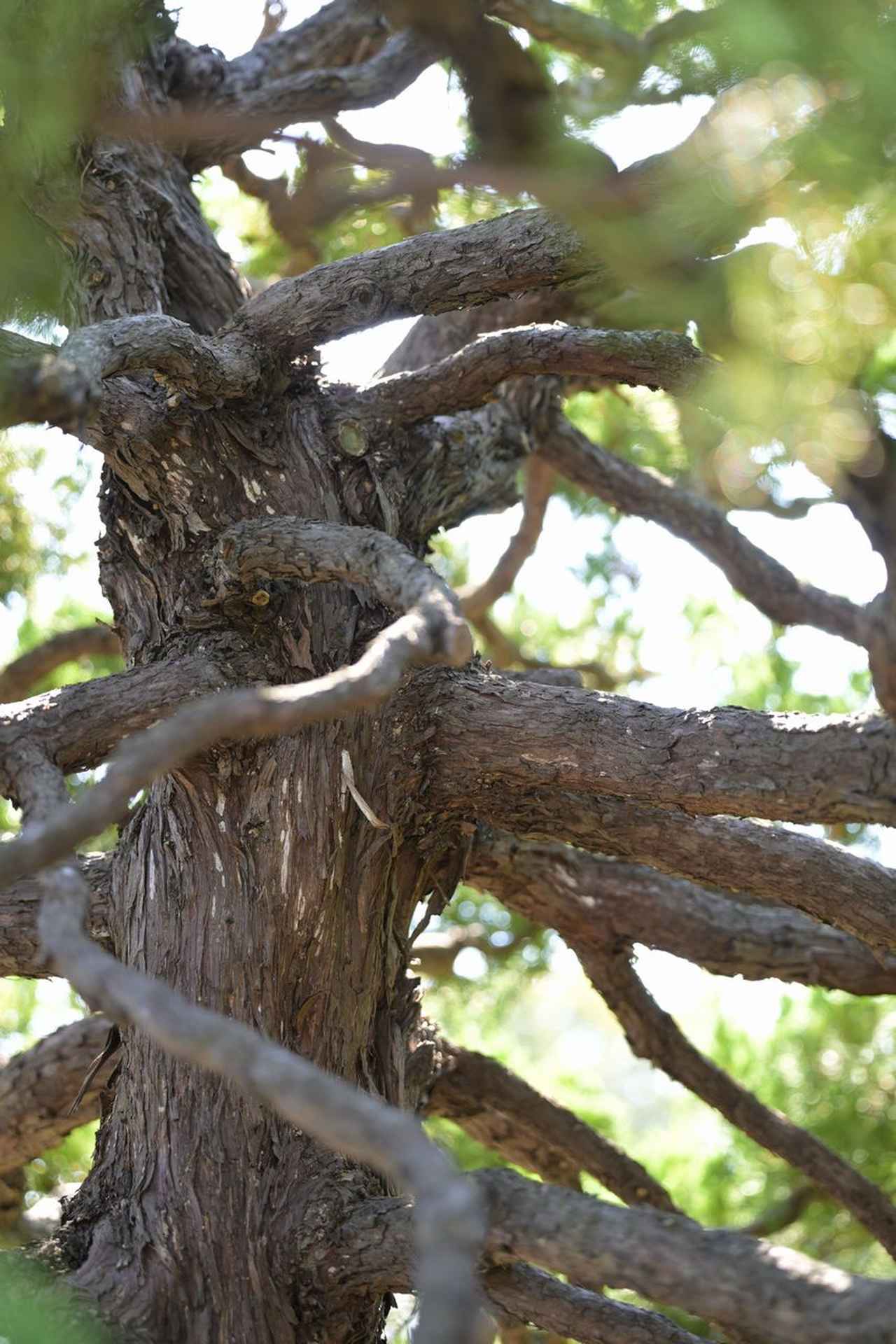 画像5: Lens Impression!
タムロン 70-180mm F/2.8 Di Ⅲ VC VXD G2　Zマウント　(Model  A065)　
●実勢価格：17万6000円（税込）
●photo＆text:豊田慶記