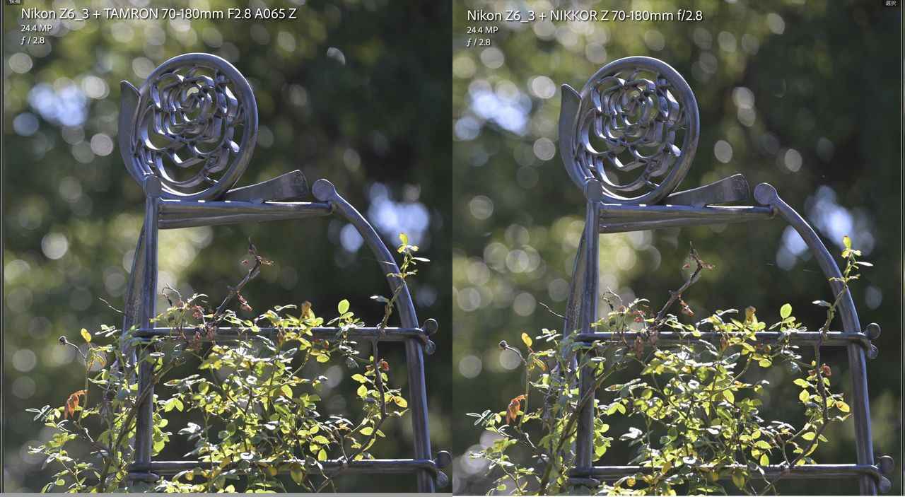 画像: キリリが好きならタムロン、柔らかくて自然な描写が好きならニコンって感じ。筆者が「写りが好き」と思ったのはニコンでした。良し悪しではなくて、好みの問題ね。