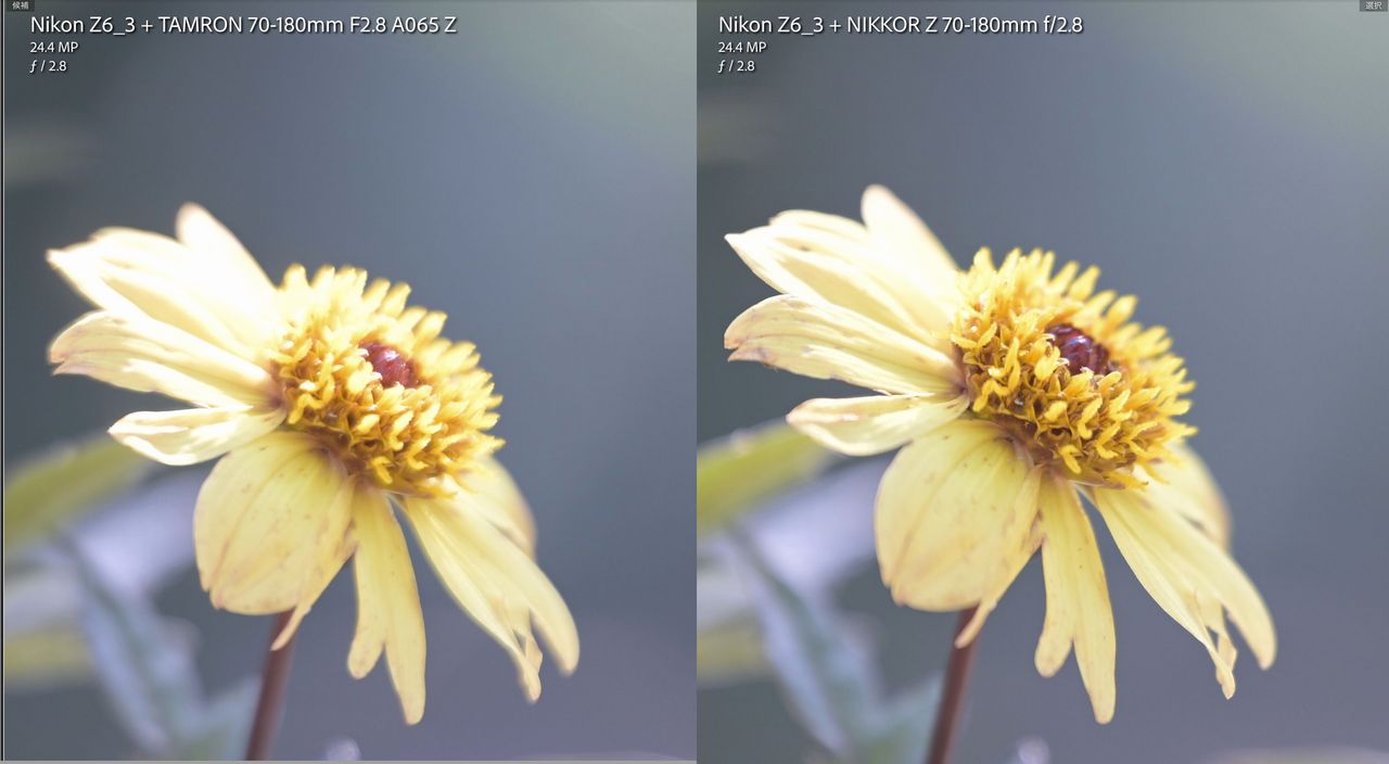 画像: 撮影中にLVで拡大しなくても、至近側での周辺部には分かるレベルで差があります。絞り込んでその肩が並ぶのはF5.6より絞った辺り。F5.6でも拡大すると「ニコンの方が良いね」ってなるから、至近時の周辺は結構違うかな。これだけポヤってるとAFのスムースさも違うからね。少し中心寄りにするだけでグッと改善はするから、撮り方次第ではありますよ。