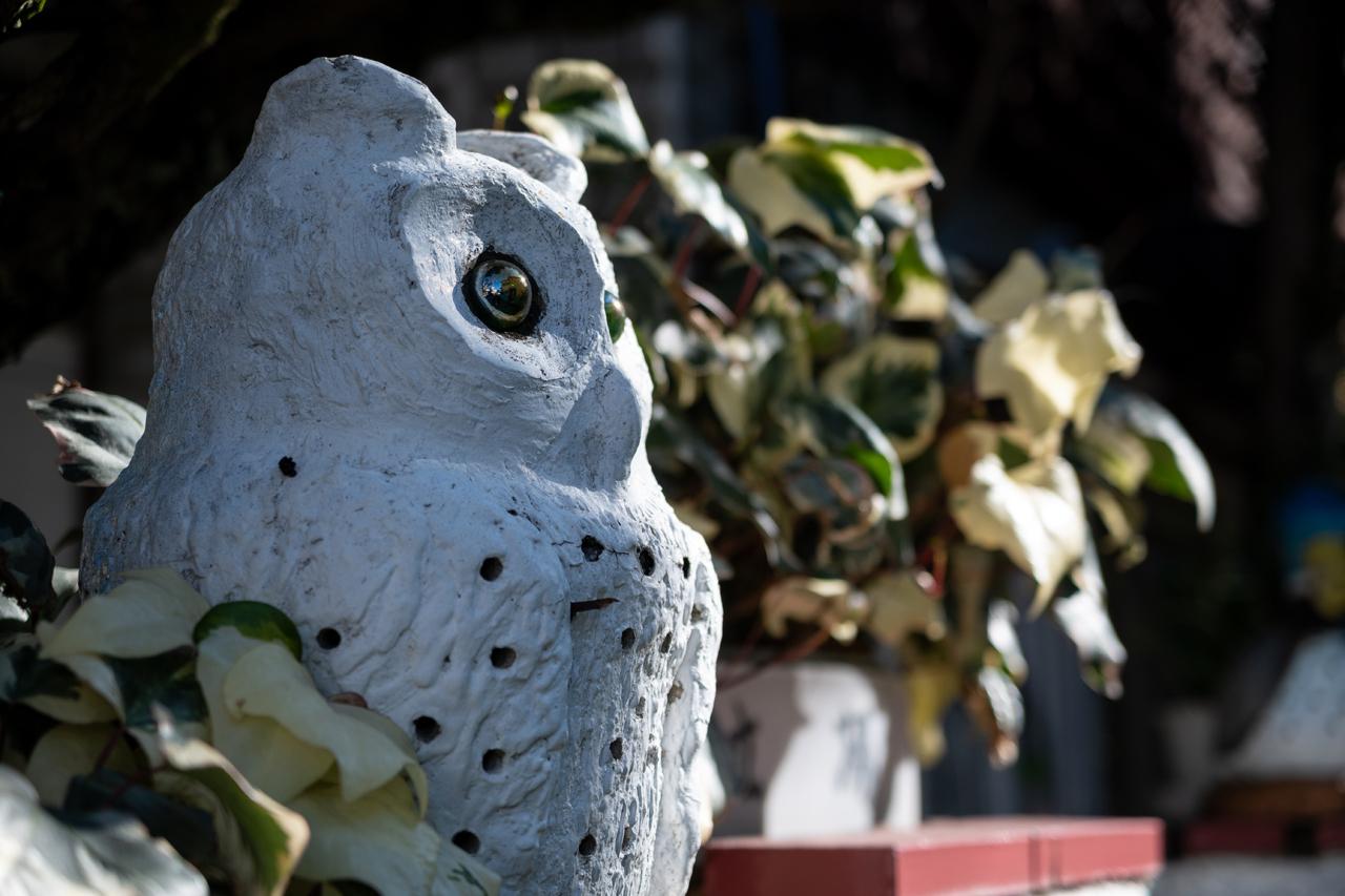 画像: 街中のオブジェ。頼んでいないのにZ50Ⅱくんは目に合焦し、そこはすばらしくシャープな描写です。絞り開放ですとこのボケの大きさですが、スナップでは十分でしょう。 ■絞り優先AE（ F2.8　1/1250秒）　マイナス0.7露出補正　ISO100　※50mm時