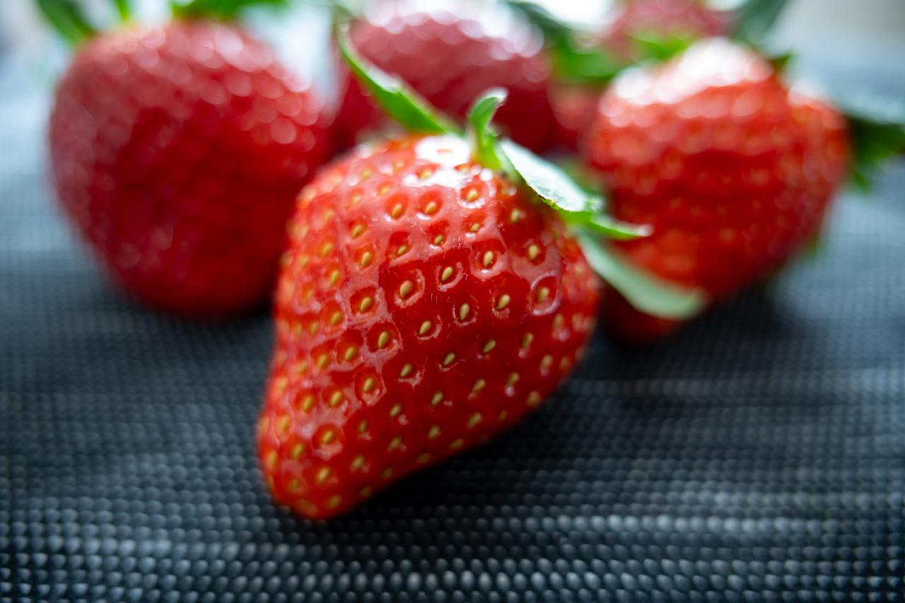 画像: 16mm時の最短撮影距離、絞り開放設定で撮影。さすがの16mmでも被写界深度は浅く感じます。わずかに線の太い描写になりますが、絞り込むと解消されます。強いパースペクティブを生かした面白いマクロ効果を得ることができますが、撮影距離が0.15mだとワーキングディスタンスが短く、ライティングがしづらくなります。 ■絞り優先AE（ F2.8　1/20秒）　ISO100　※16mm時