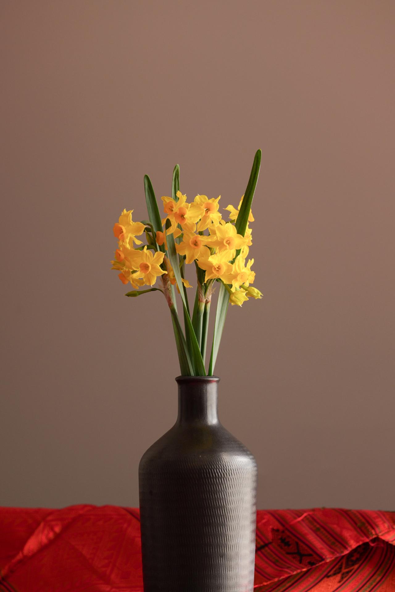 画像: 被写体認識やトラッキングを使わなければ、不満のない限界の照度がこの辺。近接性が高いので、室内でも超望遠レンズを使えると、背景の写り込みを整理できるから楽しさ倍増。手ブレ補正が強力なこともあって、本当にとてもいい感じ。超望遠の可能性を広げる撮影を楽しめるってのは良いよね ■絞りF8　1/100秒　ISO500