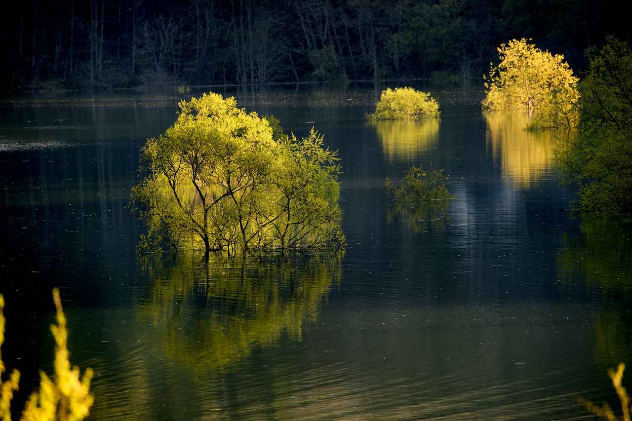 画像2: Ⓒ岩木登