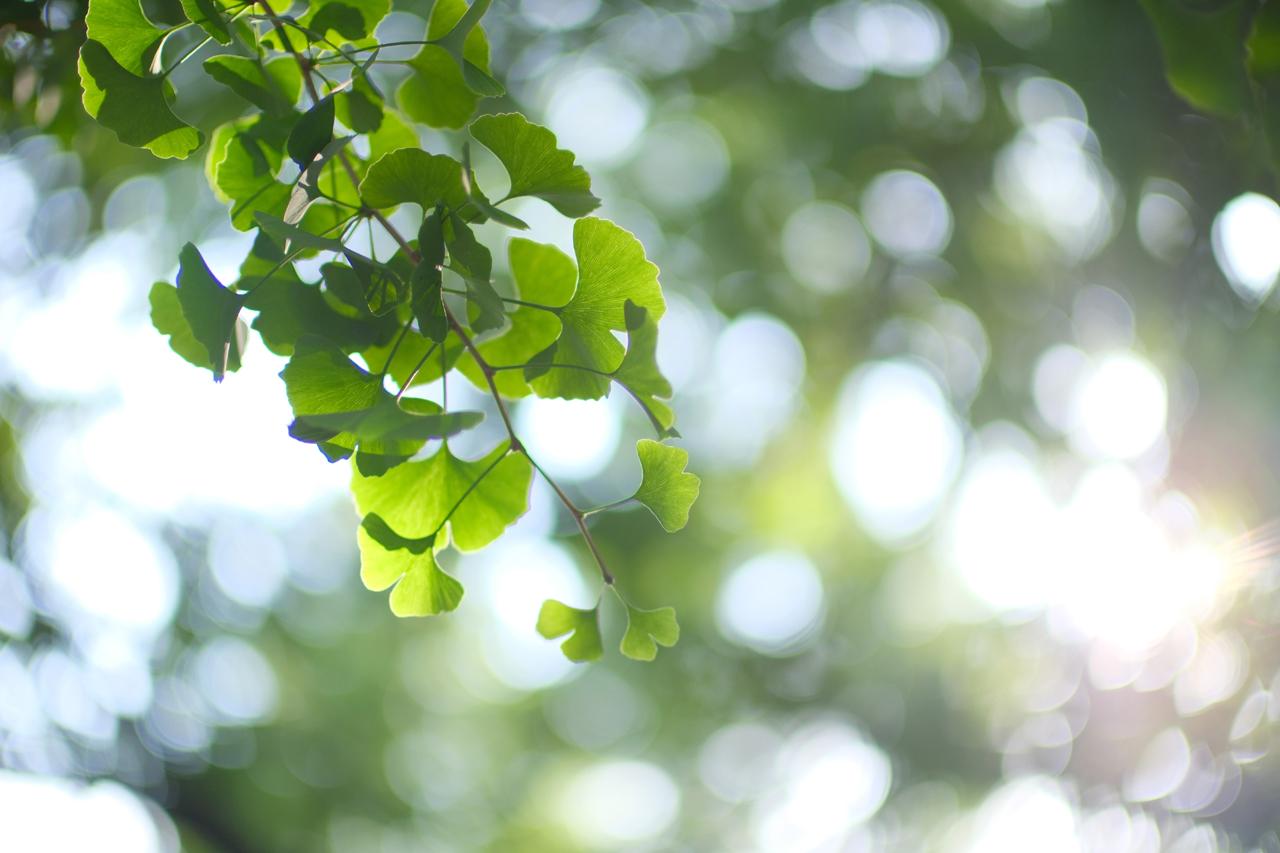 画像: フジフイルム　X-T5　絞りF0.9　1/1250秒　ISO250　WB:オート　※PROVIA / スタンダード（Photo：豊田慶記）