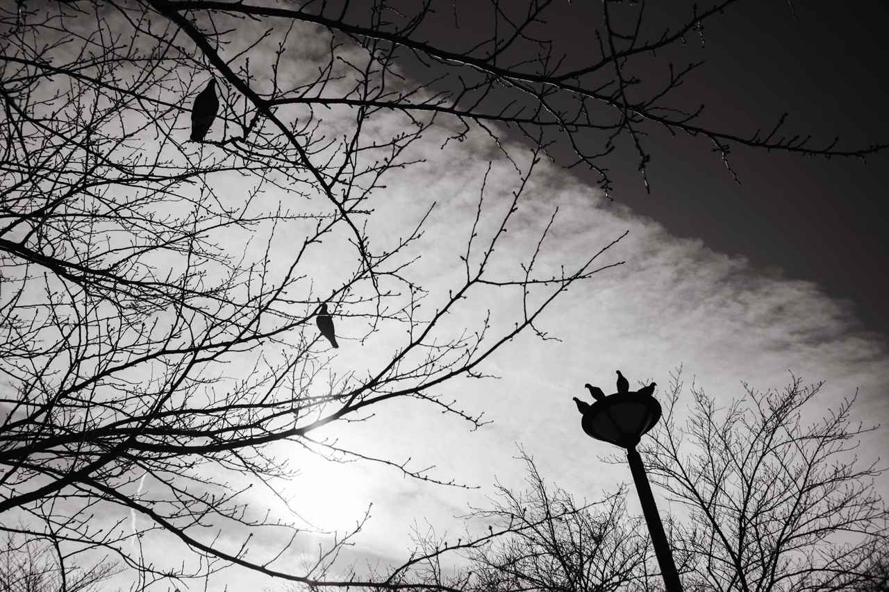 画像: フジフイルム X-T5　絞り優先AE（F5.6　1/4000秒）　マイナス0.3露出補正　ISO250　WB:晴れ　※フィルムシミュレーション：ACROS + Yフィルタ（Photo：豊田慶記）