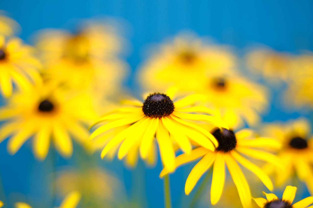 画像: フジフイルムX-H1　■絞り優先AE（F1.2　1/2000秒）　ISO400　WB:オート　※フィルムシミュレーション：ASTIA 　（Photo：豊田慶記）