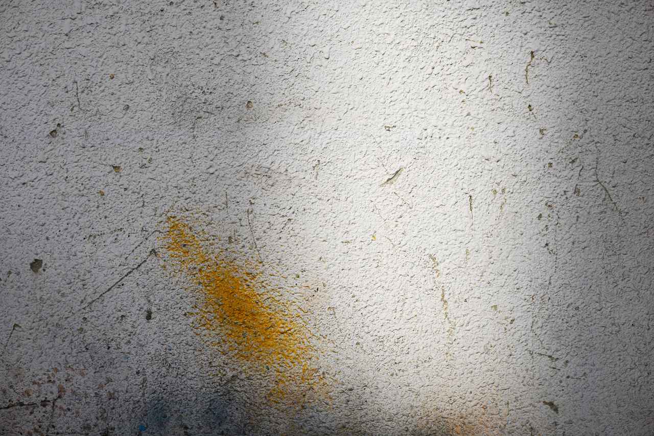 画像: ■ニコン Z fc　絞りF3.5　1/1000秒　WB:自然光オート　ISO200　ピクチャーコントロール：オート（Photo：豊田慶記）