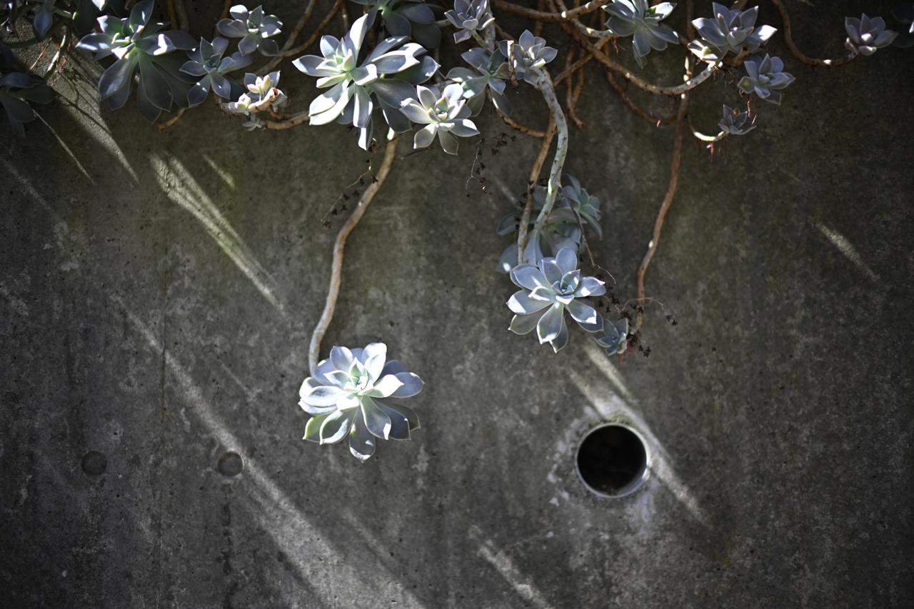 画像: ■ニコン Z 7Ⅱ　絞り優先AE（F1.2　1/1600秒）　WB:オート　ISO100（Photo：豊田慶記）