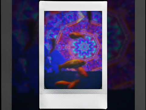 画像: ●ジダイヤル：1970　●度合い：10　●音声：環境音 youtube.com