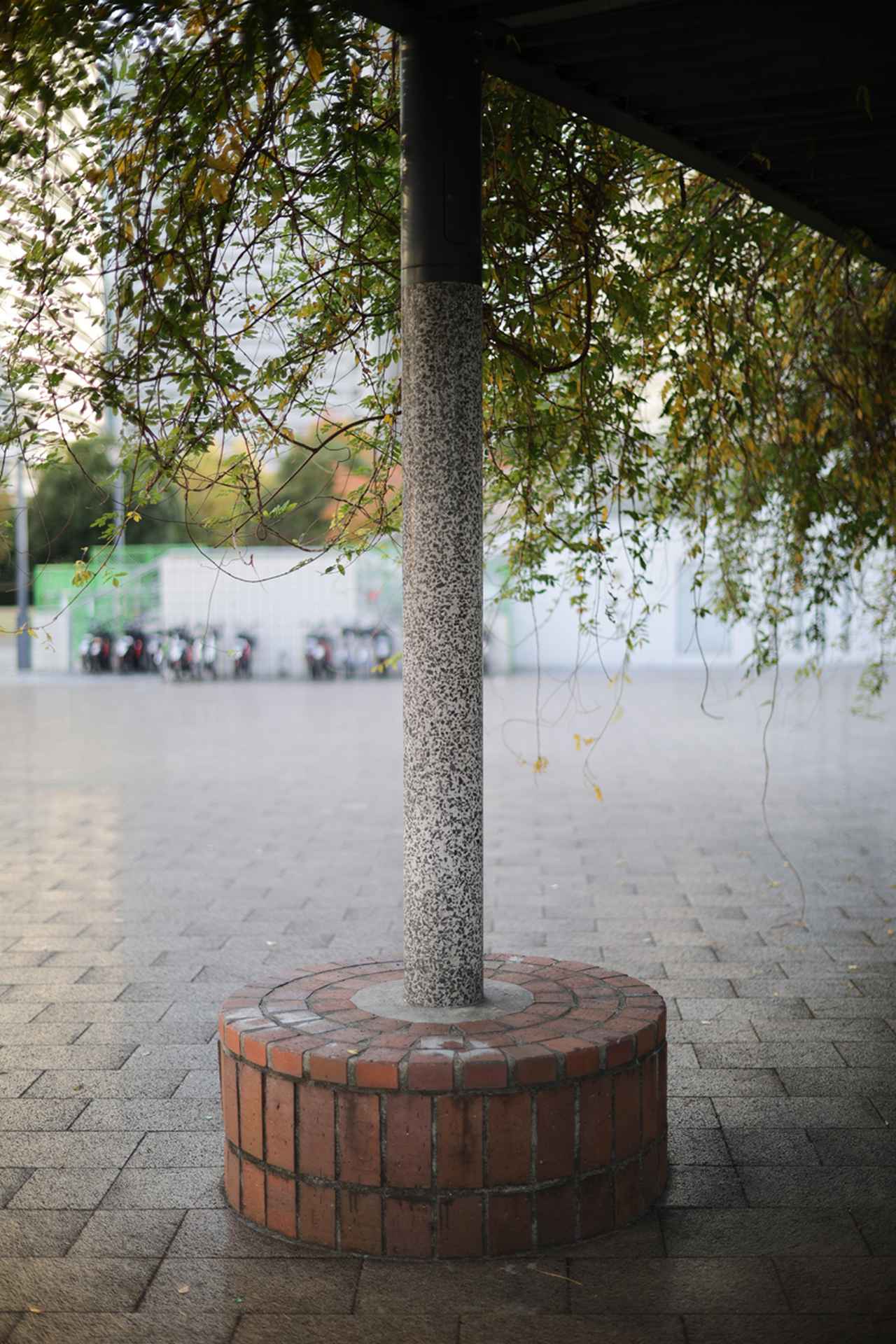 画像: 上述の「廉価なレンズの写り」と言っているカットです。ちょっとだけヌケ感が悪いというか、そういう感じの写りになる条件があります。これを逆手に取って、ネガフィルムっぽくしたいなら楽だね。 ■絞りF1.2 1/800秒 プラス0.3露出補正 ISO100