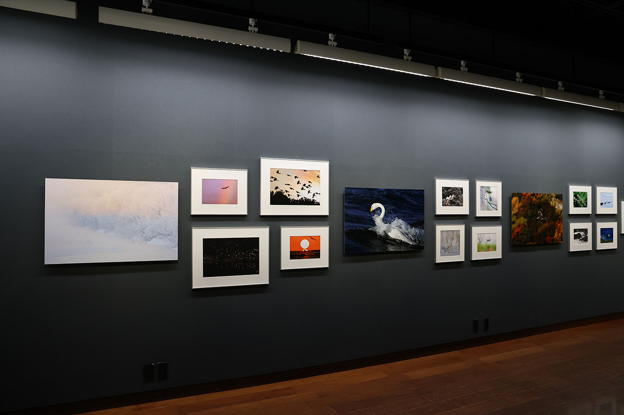 画像2: 戸塚 学写真展「飾り鳥 ～お部屋を彩る野鳥たち～」がキヤノンギャラリー銀座で開催中。3月14日（土）まで。キヤノンギャラリー大阪では4月14日～4月25日開催予定。