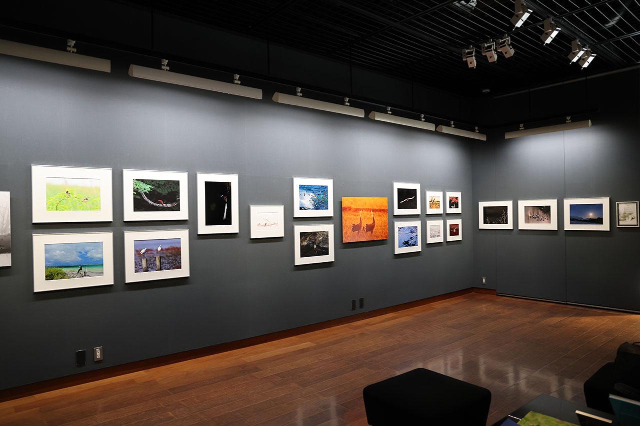 画像4: 戸塚 学写真展「飾り鳥 ～お部屋を彩る野鳥たち～」がキヤノンギャラリー銀座で開催中。3月14日（土）まで。キヤノンギャラリー大阪では4月14日～4月25日開催予定。