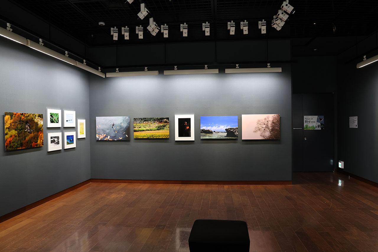 画像3: 戸塚 学写真展「飾り鳥 ～お部屋を彩る野鳥たち～」がキヤノンギャラリー銀座で開催中。3月14日（土）まで。キヤノンギャラリー大阪では4月14日～4月25日開催予定。