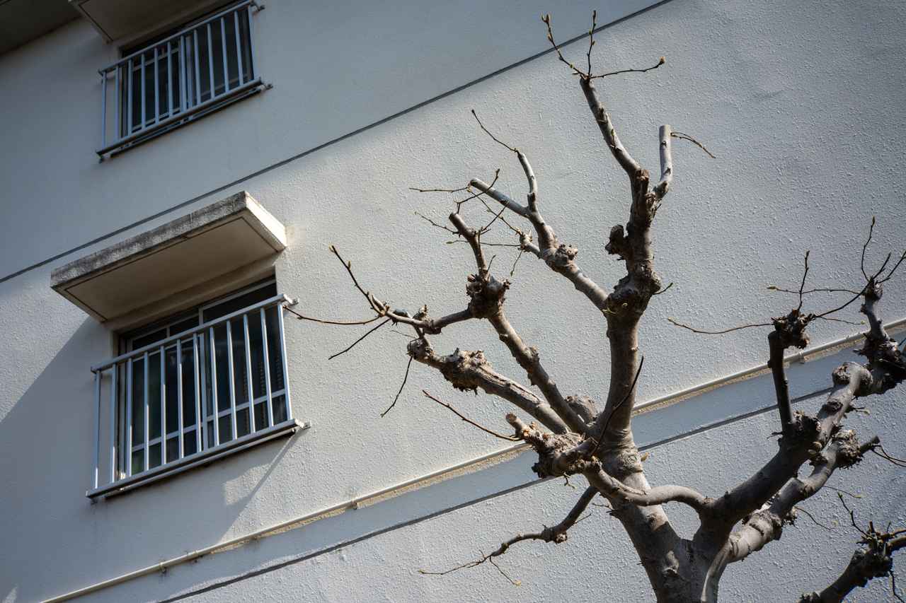 画像: 絞り込むと周辺域まできっちりとした描写です。コントラストも高くなります。 ■絞りF8　1/1250秒　ISO400