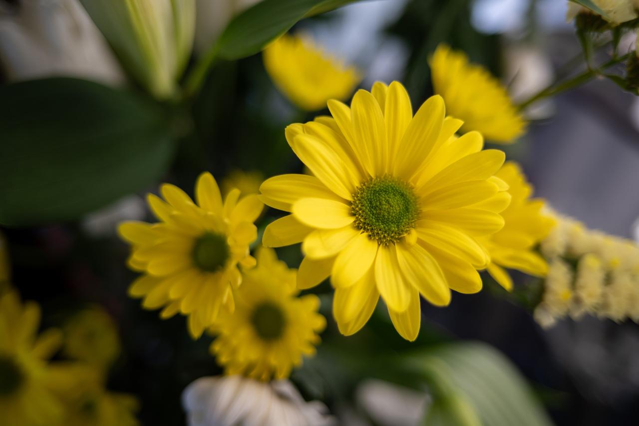 画像: 最短撮影距離、絞り開放です。合焦点は特別にシャープではありませんが、ボケもクセがなく自然な雰囲気を感じる描写です。 ■絞りF2　 1/320秒　ISO400