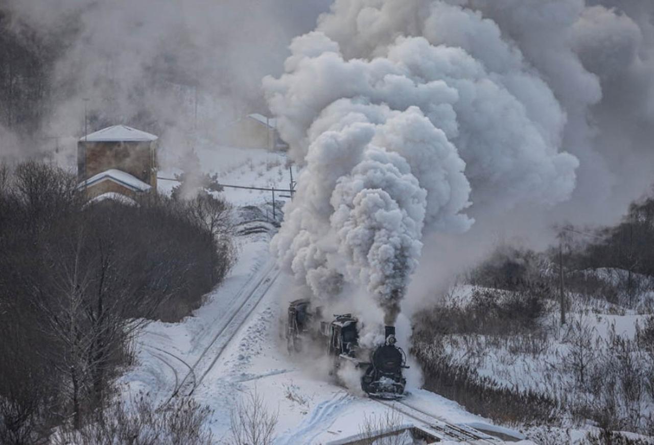 画像1: 展示作品より