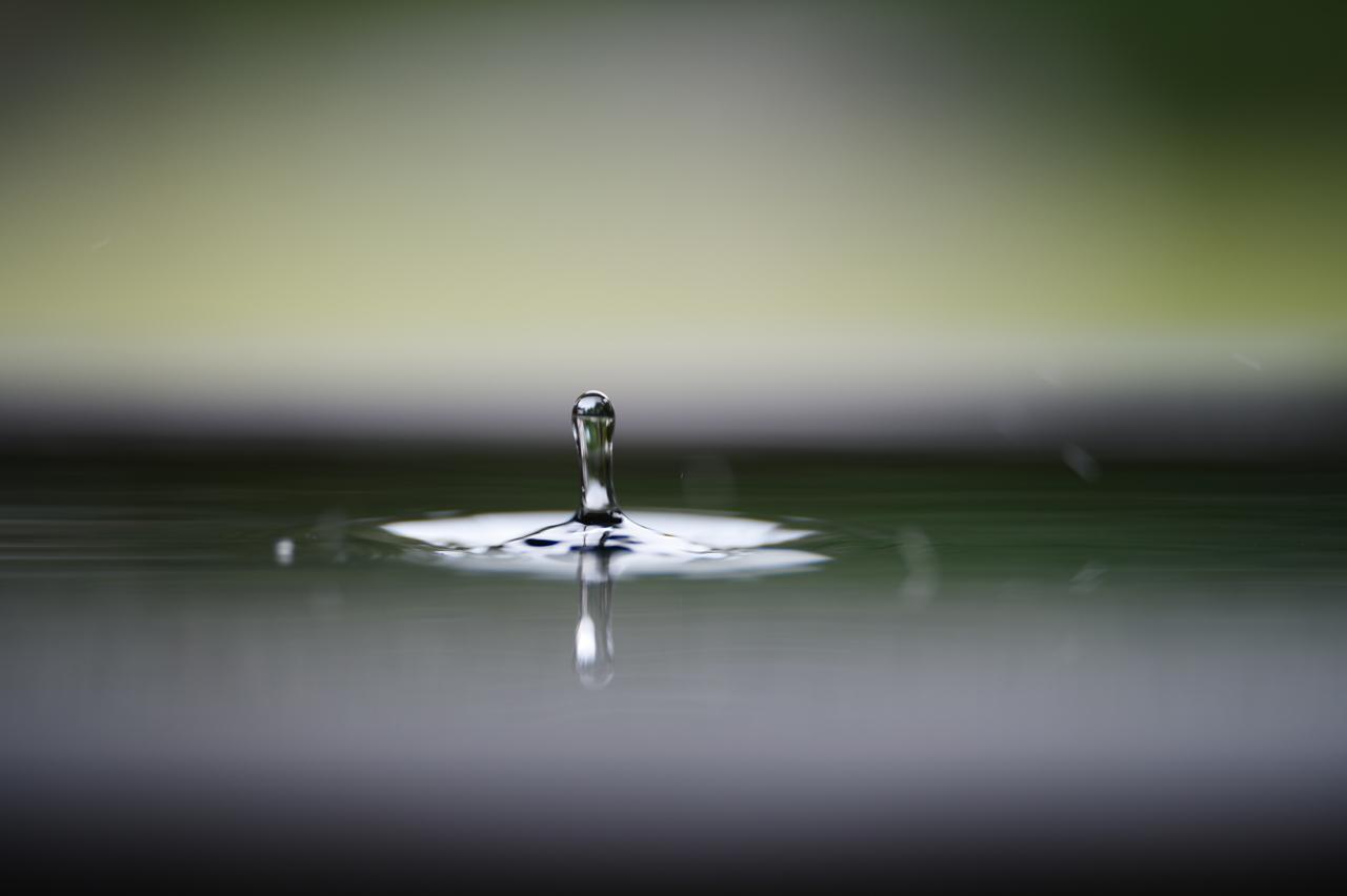 画像: ■パナソニック LUMIX S1RⅡ 絞りF1.4 1/160秒 マイナス0.66露出補正 ISO100 WB:オート 撮影/山田久美夫