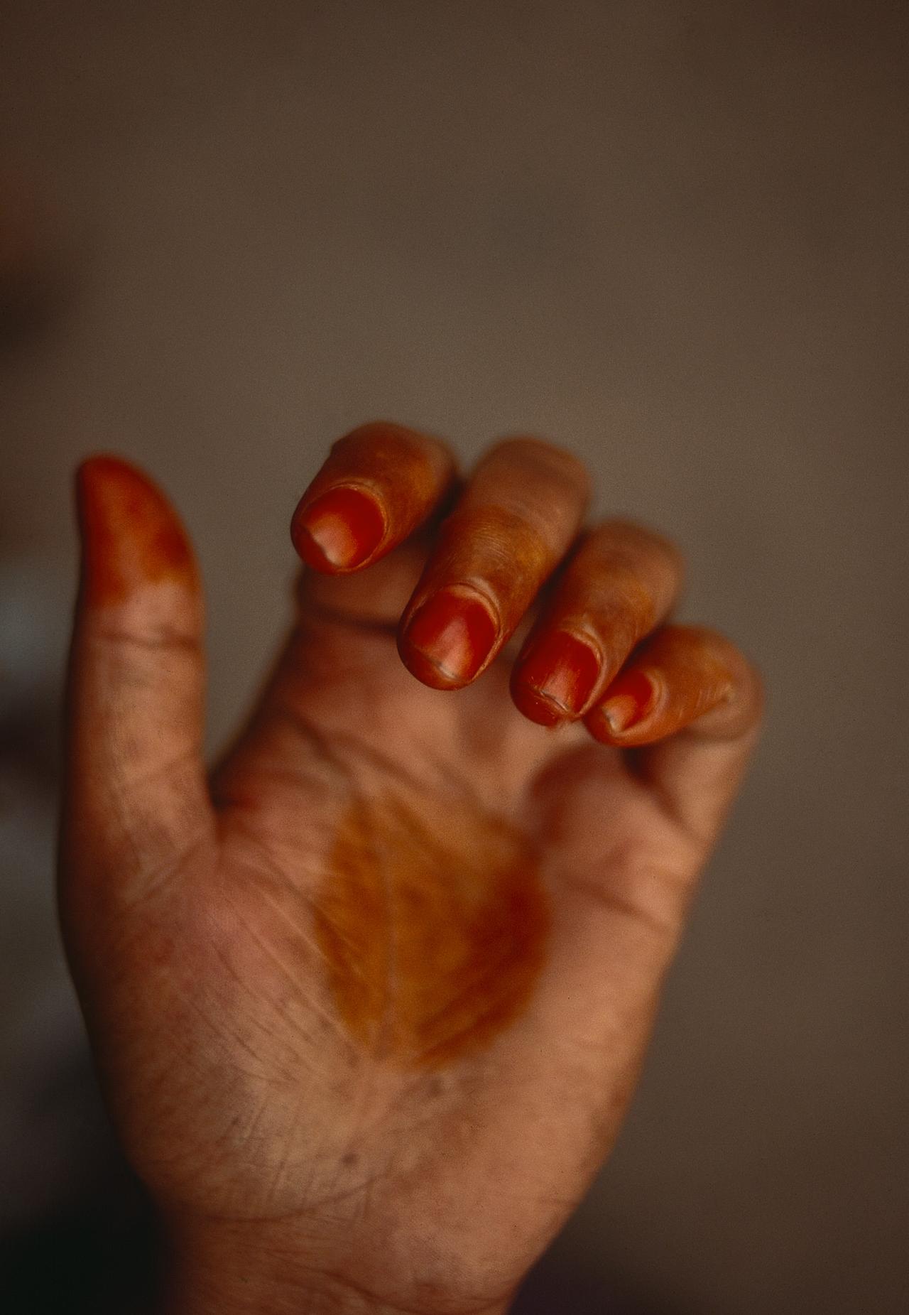 画像3: ⓒ野村恵子