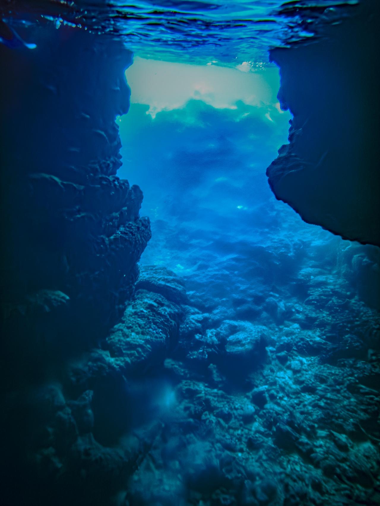 画像1: ⓒ野村恵子