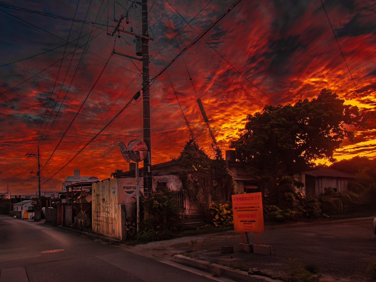 画像6: ⓒ野村恵子