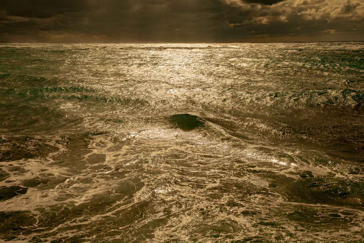 画像5: ⓒ野村恵子