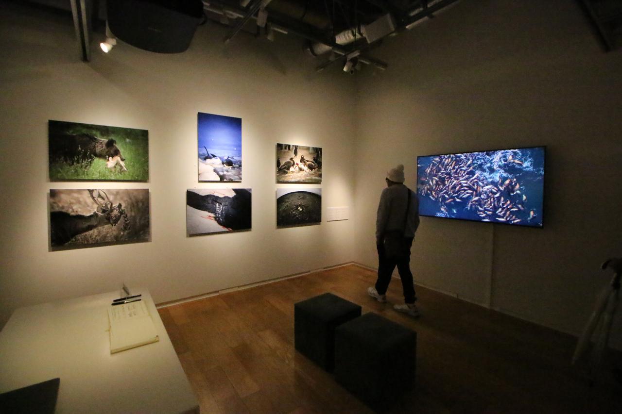 画像1: 富良野から石垣へ…。おい、極端だな!