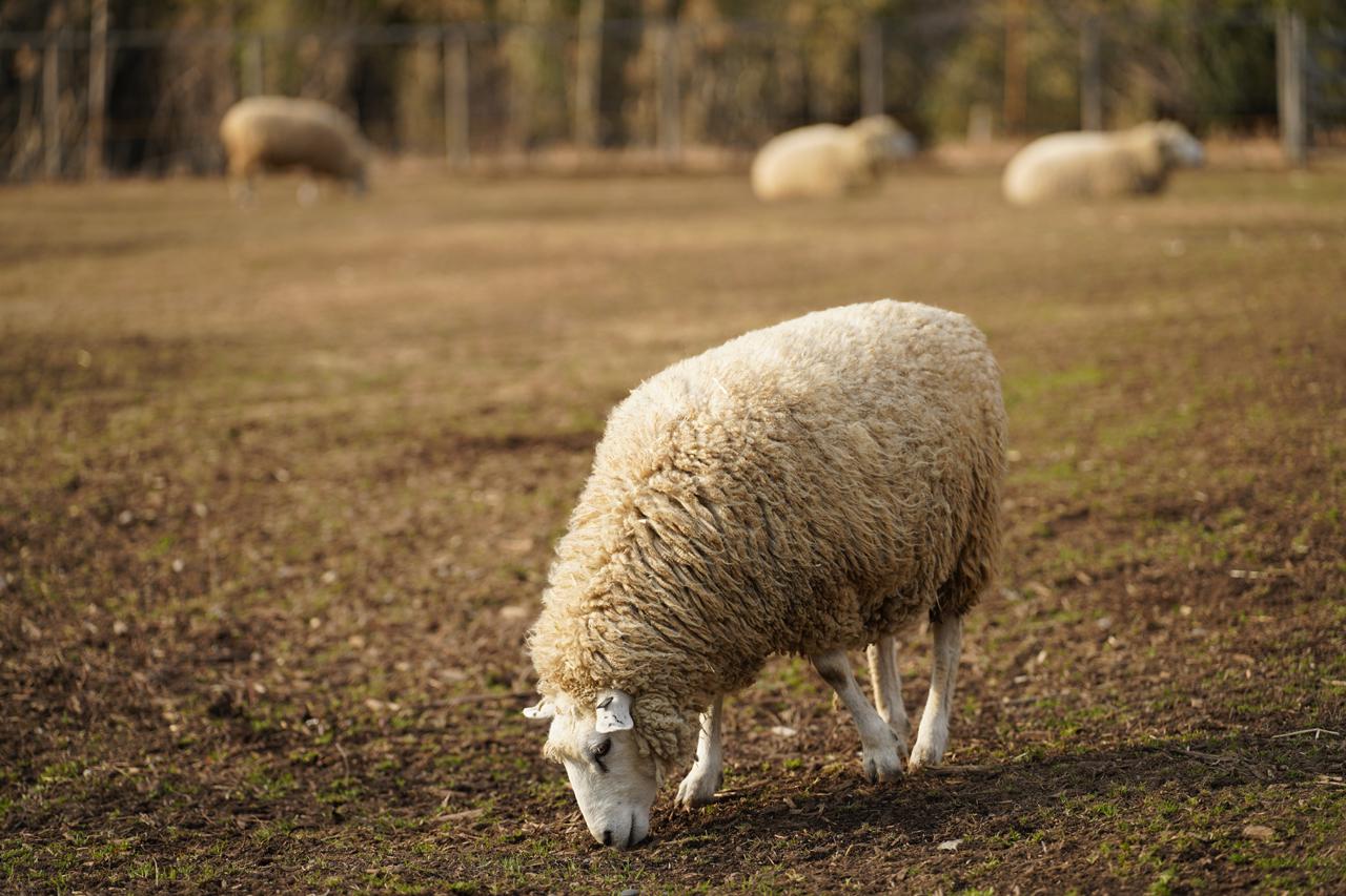 画像: ■ソニー α7R Ⅳ　絞り優先AE（F2.8）　ISO100　WB:オート　撮影：宇佐見健