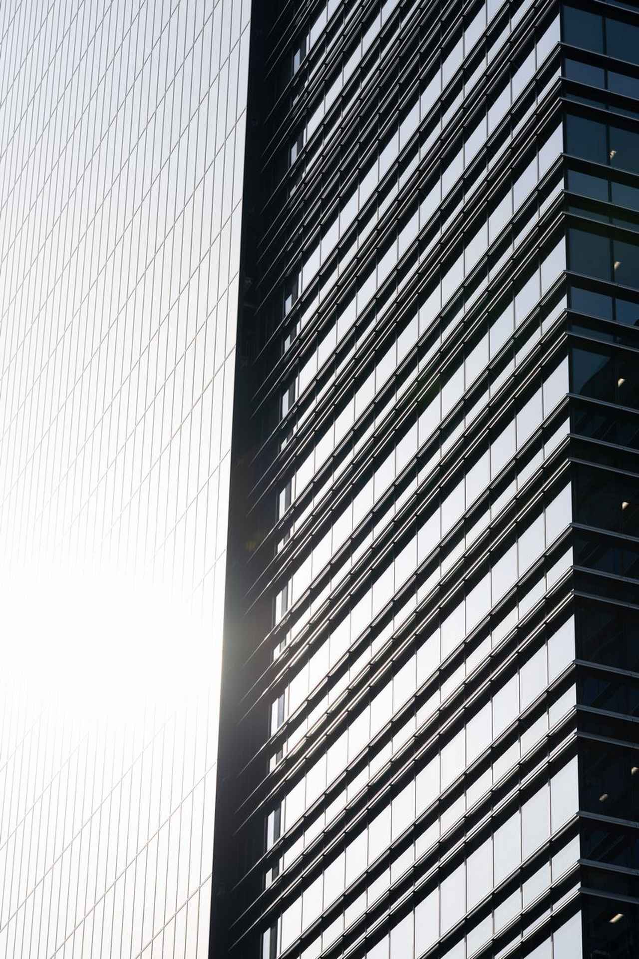 画像: 筆者がテストした中では逆光ワーストのカットがこの条件でした。フレアが少ないから逆光でもAFが迷わなくて良いね。これならヘッドライトとか太陽みたいな強い光源が画面内に入ってくるシーンでも、何も気にすることなくガシガシ使えそう。それにしても切れ味エグいし、やたらクリア。 ■115mm時　絞りF6.3　1/640秒　プラス1.0露出補正　ISO100