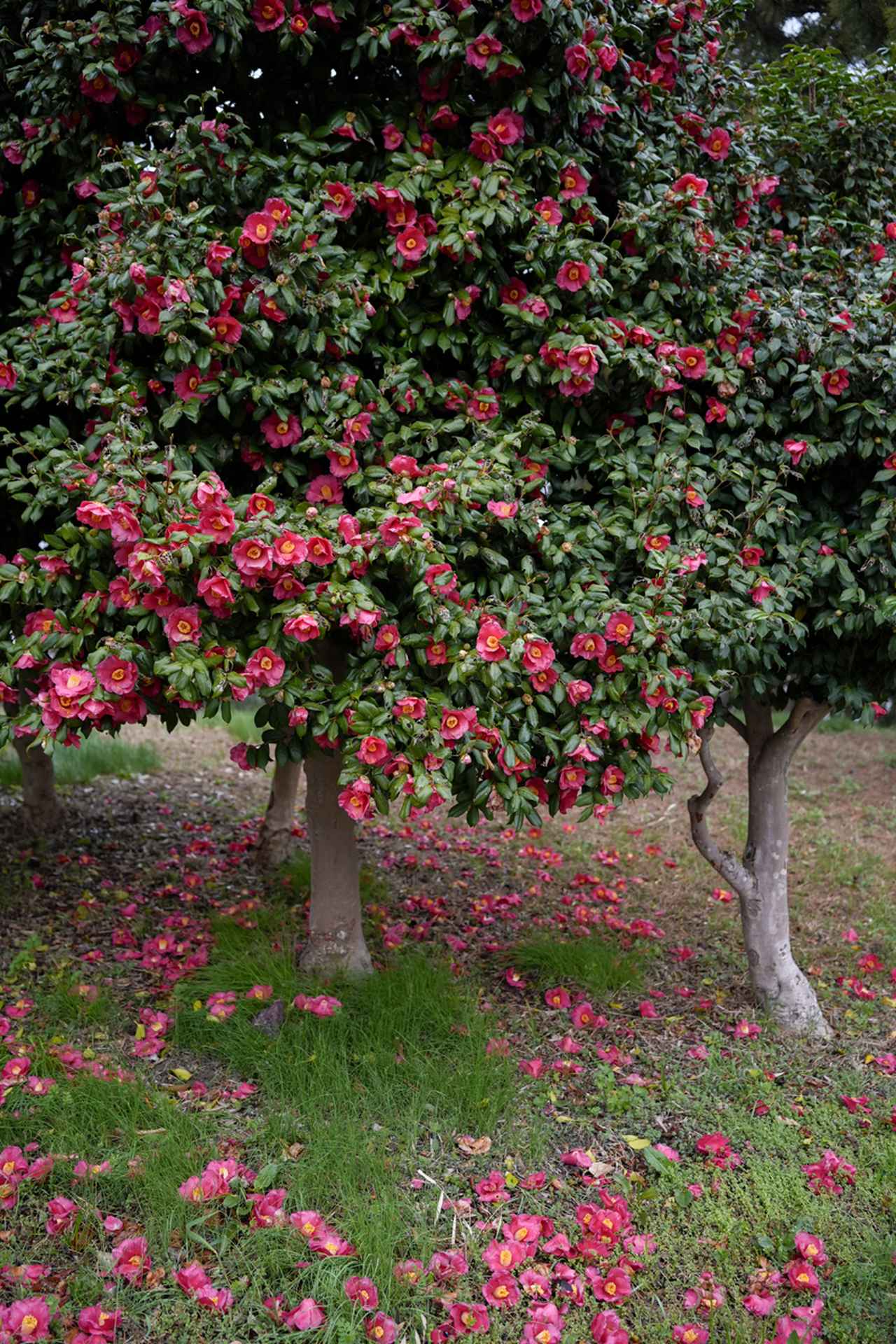 画像: ●ワイド端 35mmといえども広角なので、距離を少し引くと開放でも深度は十分。絞って撮るよりも立体感が出るので平板な写真になりにくい。最新鋭のレンズゆえ当然の如く絞り開放から描写はしっかりしており、周辺部での解像の乱れや極端な光量落ちは見られない。 ■絞り優先AE(F2.8）マイナス1.0露出補正　ISO800　WB:オート