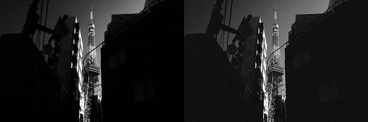 画像: ●ハイコントラスト（左）とグレイニー