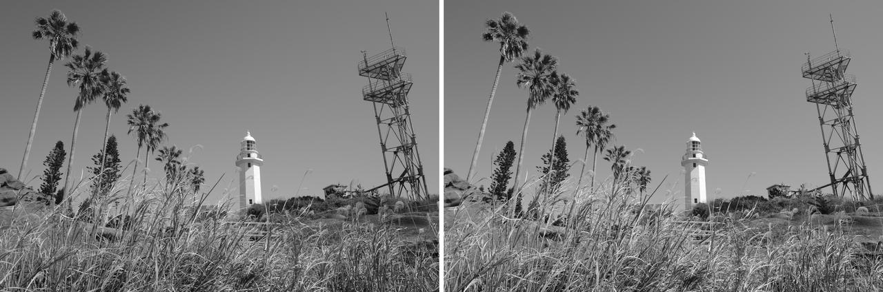 画像: RICOH GR Ⅳ Monochrome　vs　PENTAX K-3 Mark Ⅲ Monochrome（＋HD PENTAX-DA 16-50mm F2.8ED PLM AW）