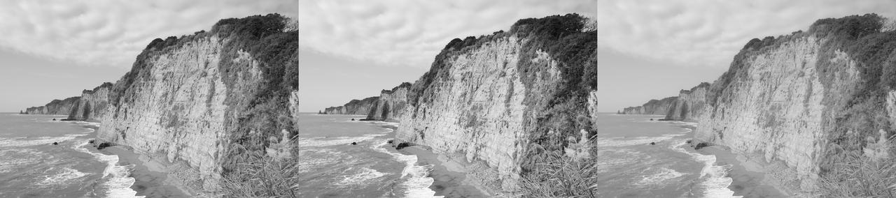 画像1: RICOH GR Ⅳ Monochrome